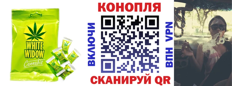 Canna-Cookies конопля Тбилисская