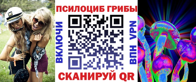 Псилоцибиновые грибы Psilocybe  Тбилисская 